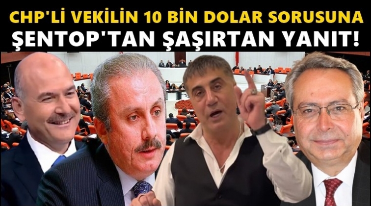 10 bin dolar sorusuna Şentop'tan şaşırtan yanıt!