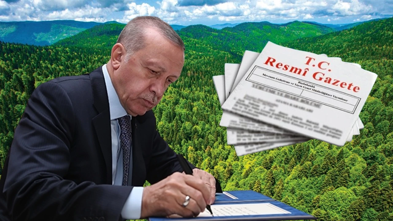 11 ilde 1 milyon 651 bin metrekare alan orman sınırları dışına &ccedil;ıkarıldı!