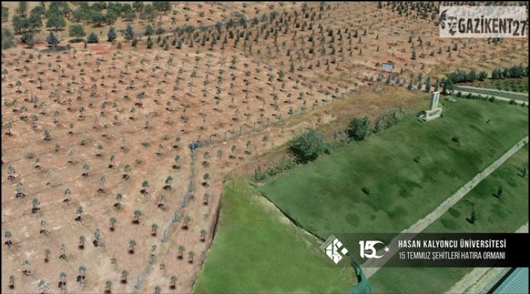 15 Temmuz şehitleri i&ccedil;in hatıra ormanı