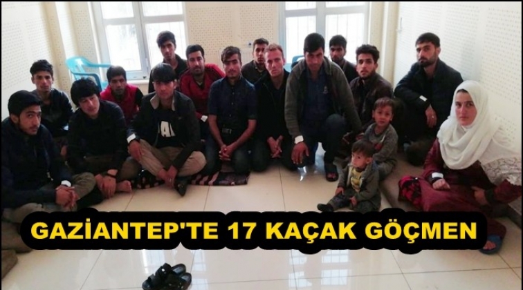 Gaziantep'te 17 kaçak göçmen yakalandı