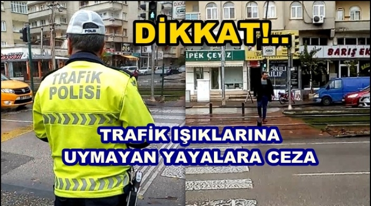 740 sürücü, yaya ve araç plakasına cezai işlem