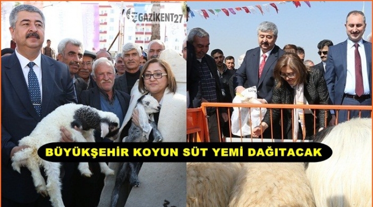 2 milyon liralık koyun s&uuml;t yemi dağıtılacak