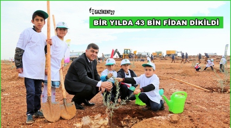 2018'de 43 bin fidan dikildi