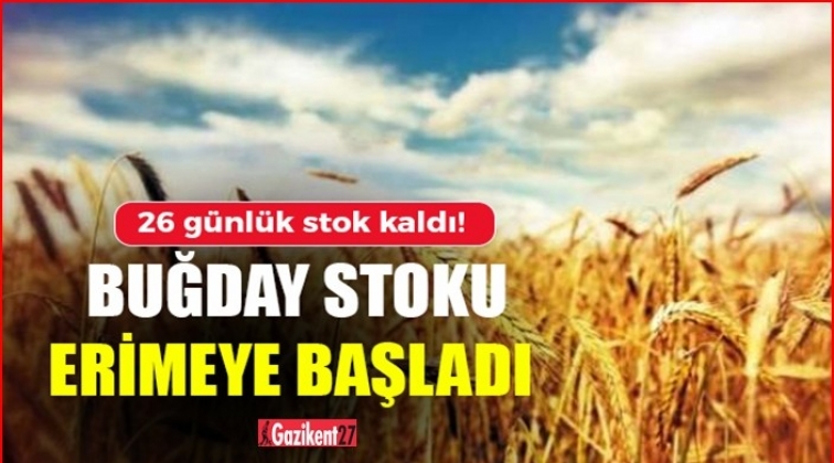 26 günlük buğday kaldı!