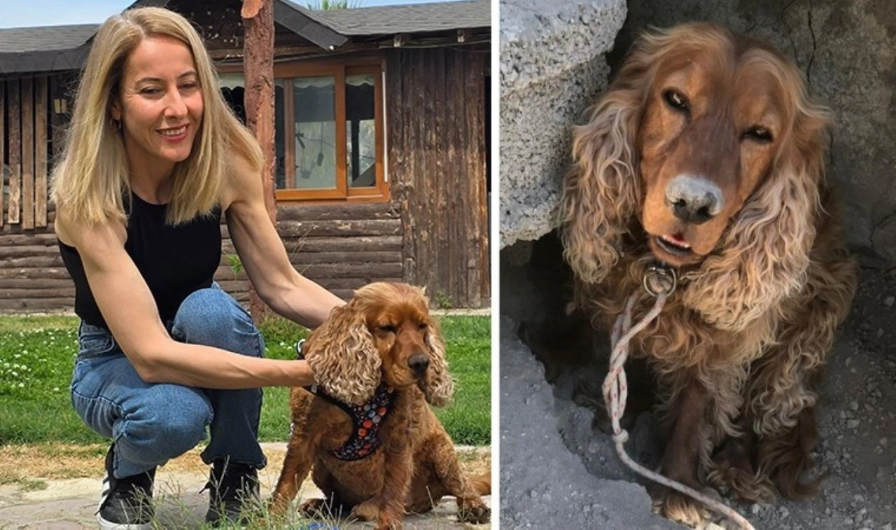 3 aydır kayıp köpeği Çilek'i 'boş arazide' ağaca bağlı halde buldu