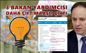 3 bakan yardımcısı daha çift maaşlı çıktı!