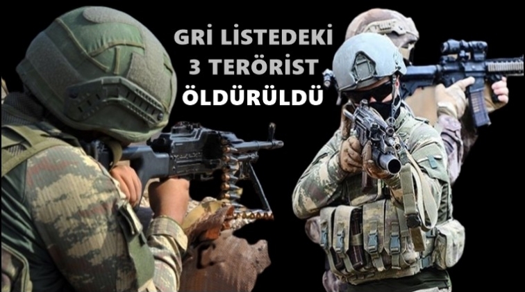 Gri listedeki 3 terörist öldürüldü!