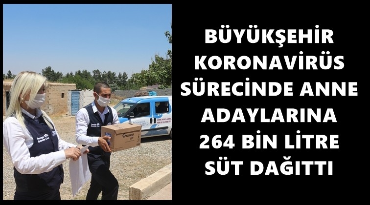 5 ayda 264 bin litre süt dağıtıldı...