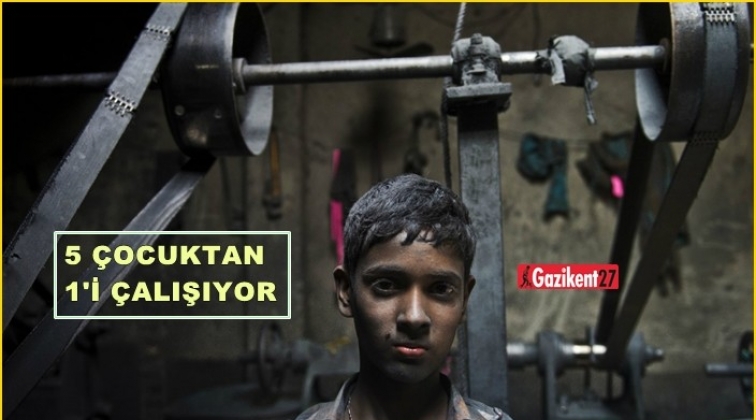 5 çocuktan 1’i çalışıyor