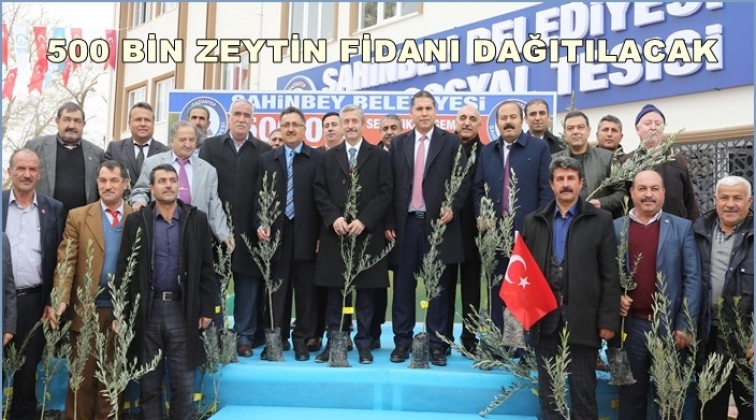 500 bin zeytin fidanı dağıtımına başlandı