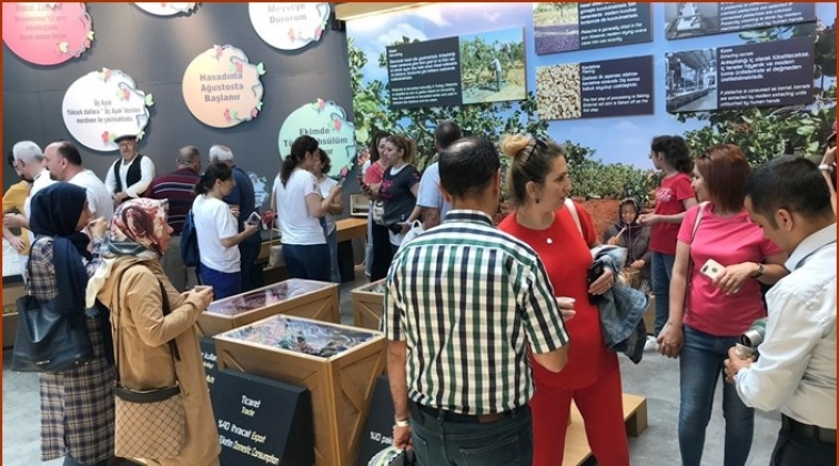 6 ayda 1 milyon kişi ziyaret etti