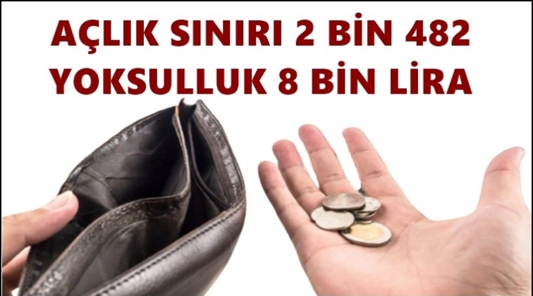 Açlık 2 bin 482, yoksulluk sınırı 8 bin 86 lira oldu