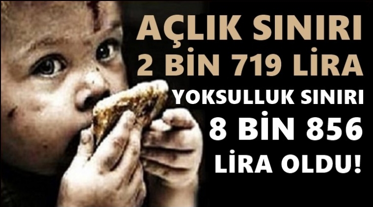 Açlık 2 bin 719, yoksulluk sınırı 8 bin 856 lira