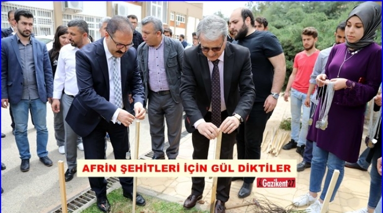 Afrin şehitleri i&ccedil;in g&uuml;l diktiler