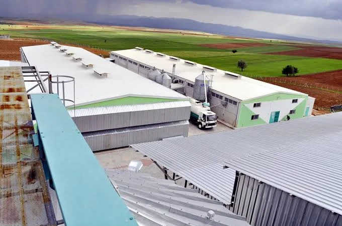 Afyonkarahisar'ın ünlü yumurtacısına el konularak  kayyum atandı
