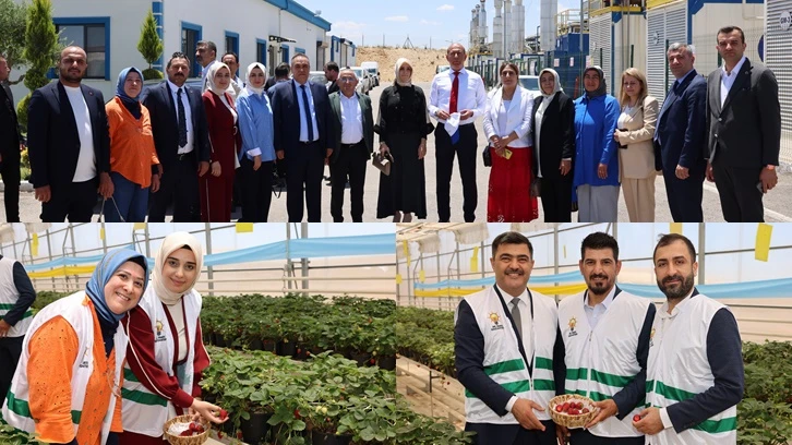 Ak Parti Gaziantep’ten Çevre Haftası’na duyarlı dokunuş