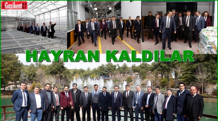 Ak Parti il&ccedil;e teşkilatı Şehitkamil'i gezdi