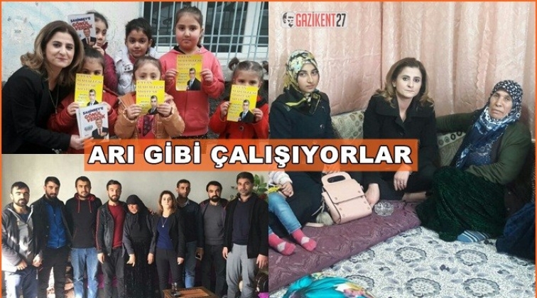 Ak Parti Şahinbey arı gibi çalışıyor