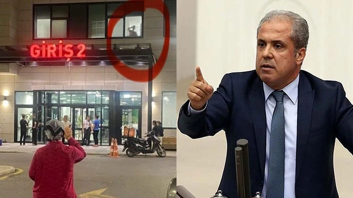 AKP'li Şamil Tayyar'dan Murat Çalık isyanı