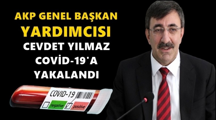 AKP'li Yılmaz’ın testi pozitif çıktı