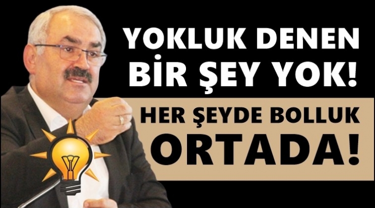 AKP'li Etyemez: Her şeyde bolluk ortada...