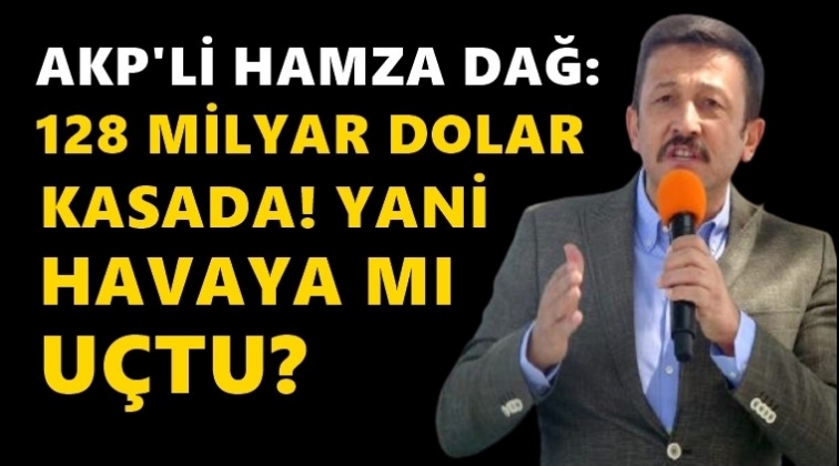 AKP'li Hamza Dağ: 128 milyar dolar kasada