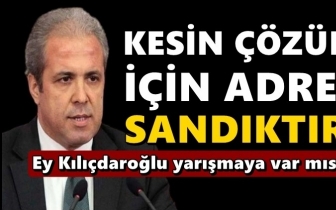 AKP'li Tayyar: Kesin çözüm için adres, sandıktır!