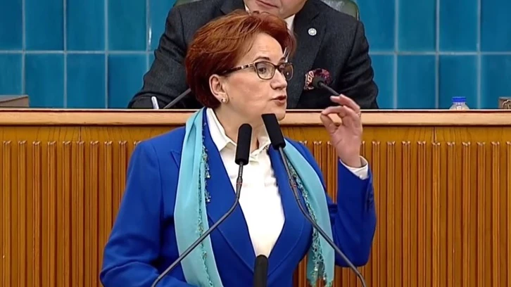 Akşener: Adına ittifak dedikleri, manda ve himaye...