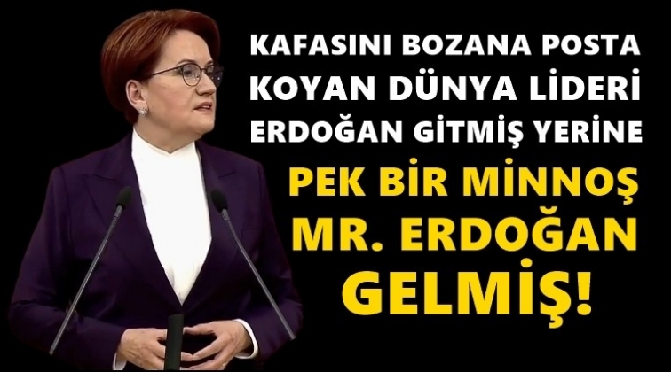 Akşener: Bir minnoş Mr. Erdogan gelmiş...