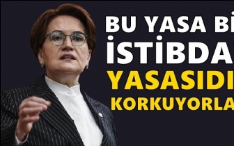 Akşener: Bu yasa bir istibdat yasasıdır!