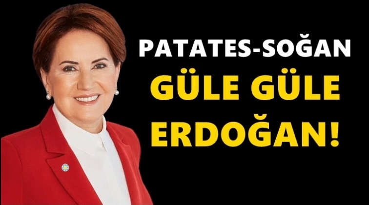 Akşener: Patates, soğan güle güle Erdoğan!