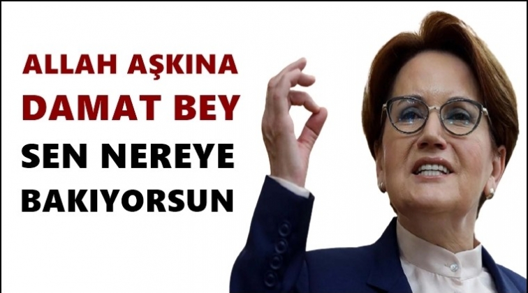 Akşener: Damat Bey sen nereye bakıyorsun?