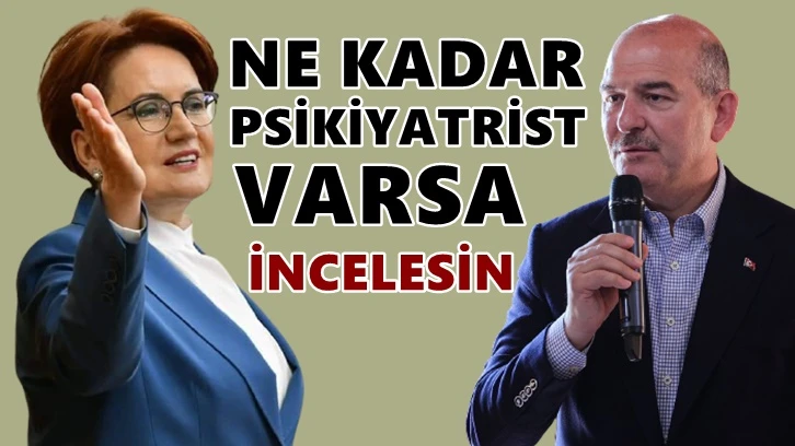 Akşener'den Soylu'ya: Bütün psikiyatristler muayene etsin