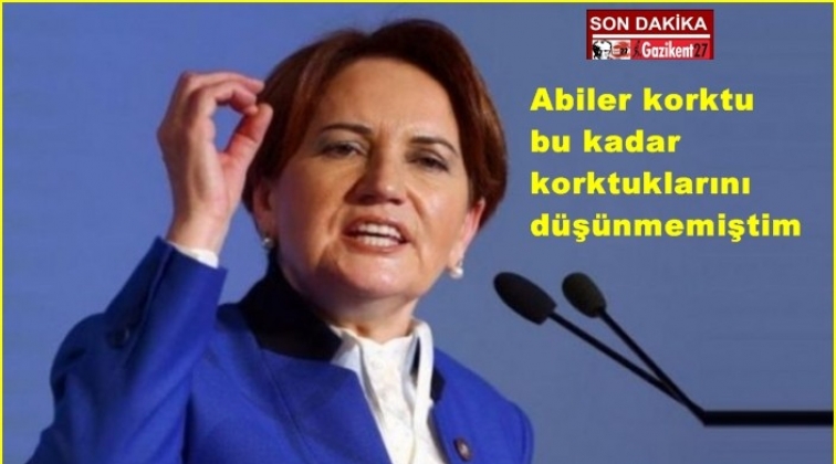 Akşener: İyi Parti seçime girecek