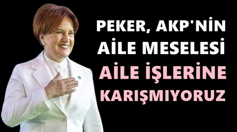 Akşener: Peker, AKP'nin aile meselesi...