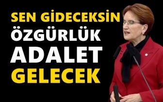 Akşener: Sen gideceksin, İstibdat bitecek!