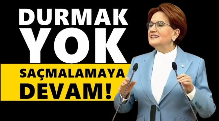 Akşener'den Erdoğan'a: Emeklilik hayatında başarılar!