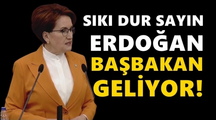 Akşener: Sıkı dur sayın Erdoğan başbakan geliyor!