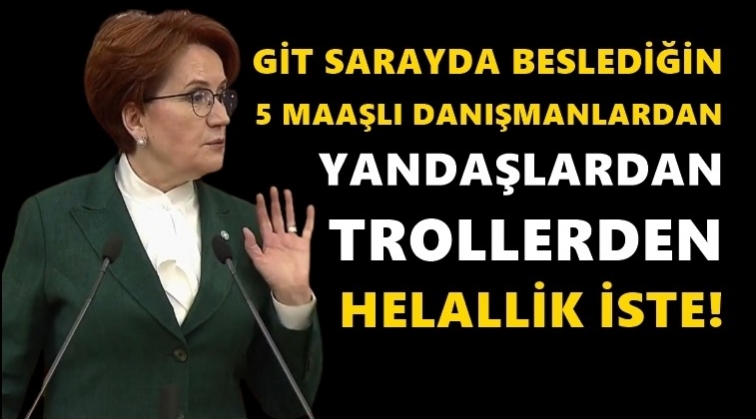 Akşener'den Erdoğan'a 'helallik' yanıtı...