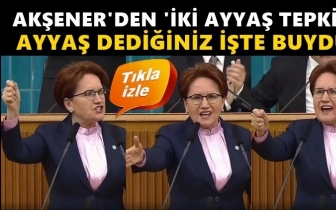 Akşener'den Erdoğan'a 'iki ayyaş' tepkisi...