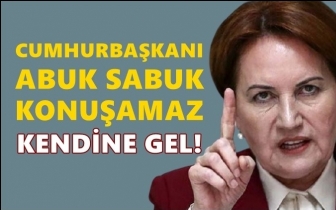 Akşener'den Erdoğan'a: Kendine gel!