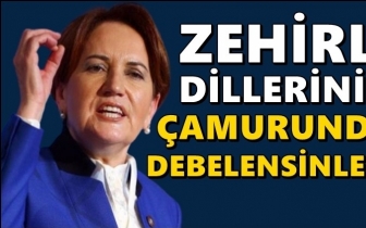 Akşener'den Erdoğan'ın 'Sürtük' sözlerine tepki