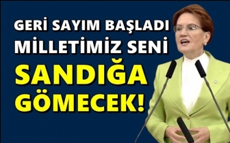 Akşener'den 'sürtük' tepkisi: Yunanlı bile etmedi!