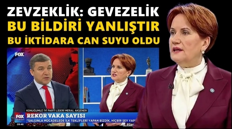 Akşener'den 'Zevzeklik' açıklaması...