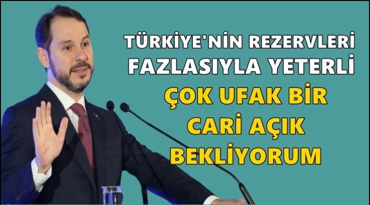 Albayrak: Son çeyrekte toparlanma bekliyorum