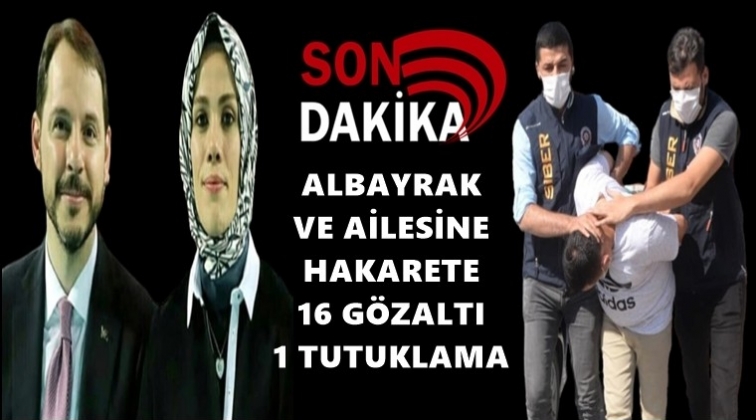 Albayrak ve ailesine hakarete 1 tutuklama