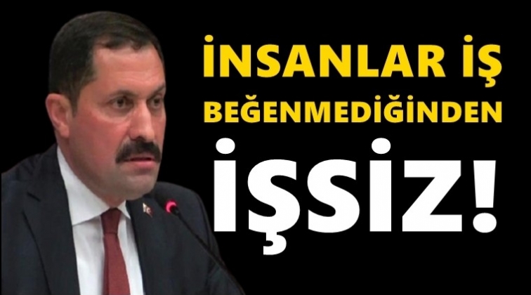 Amasya Valisi: İnsanlar iş beğenmediğinden işsiz!