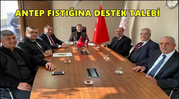 Antep fıstığına destek talebi