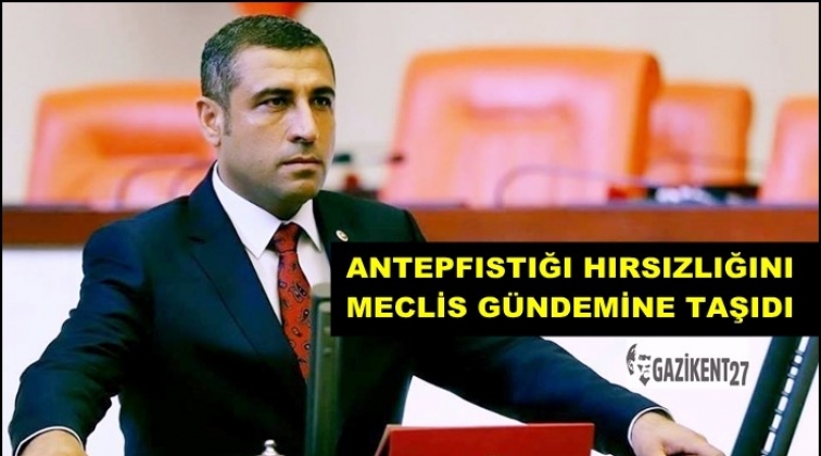 Antepfıstığı hırsızlığı meclis g&uuml;ndeminde