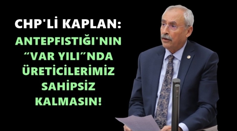 Antepfıstığı, stokçuların eline kalmasın!